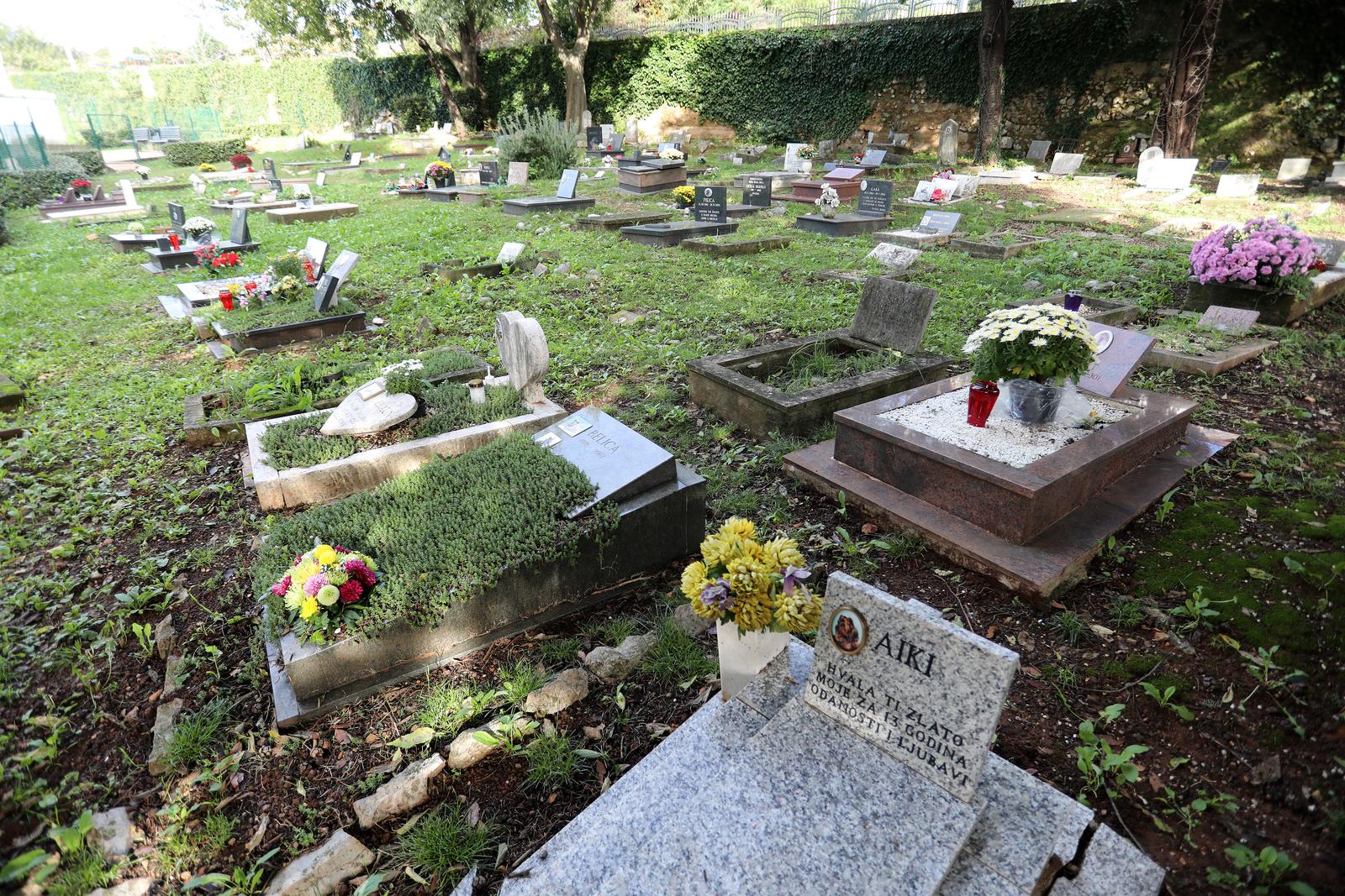 Rijeka: Cvijeće i svijeće na groblju kućnih ljubimaca Rijeka: Cvijeće i svijeće na groblju kućnih ljubimaca