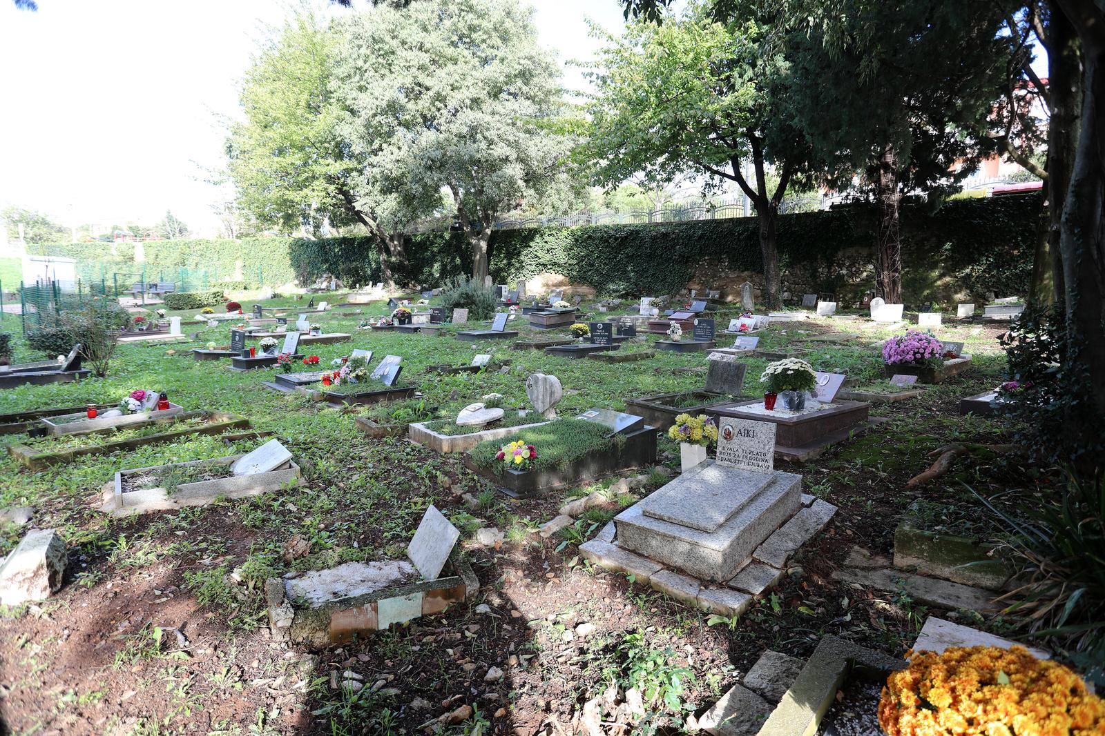 Rijeka: Cvije?e i svije?e na groblju ku?nih ljubimaca Rijeka: Cvije?e i svije?e na groblju ku?nih ljubimaca