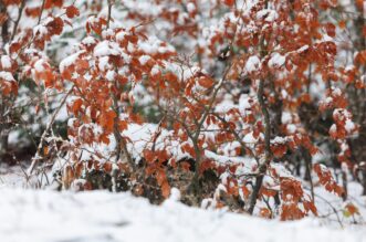 Platak od jutra prekriven snijegom