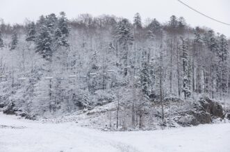 Platak od jutra prekriven snijegom