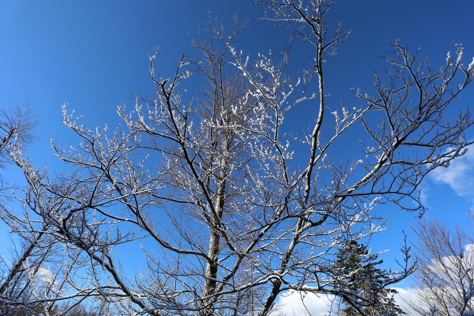 Snijeg zabijelio planine oko Fuina
