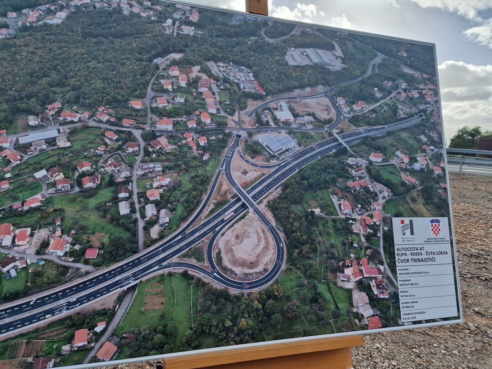 cvor trinajstici (6) cvor trinajstici (6)