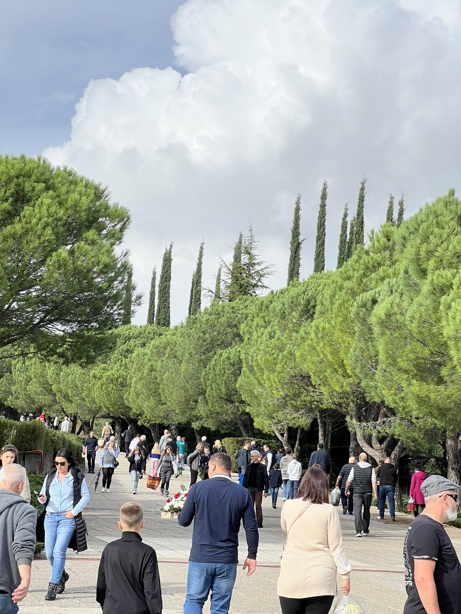 groblje drenova riportal 2023 13 groblje drenova riportal 2023 13