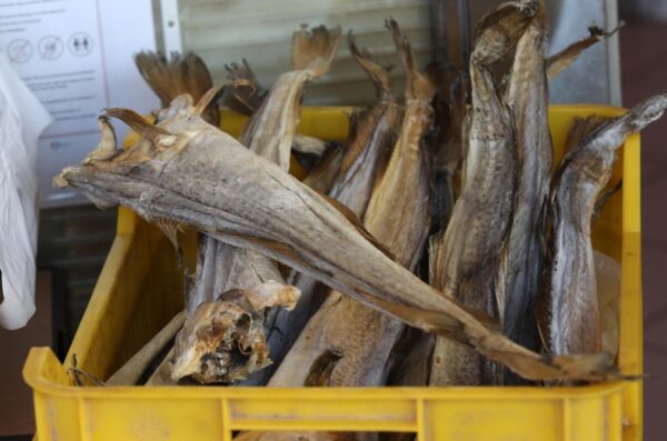 Šibenik: Cijena bakalara, koji se tradicionalno sprema za Badnjaka, je od 250 do 300 kuna po kilogramu