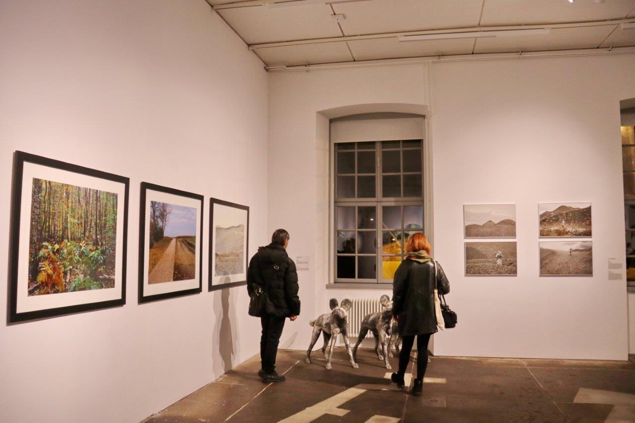 Zimska-priča-iz-Benčića-17 Zimska-priča-iz-Benčića-17