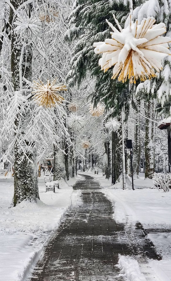 delnice bajka 2023 3 delnice bajka 2023 3