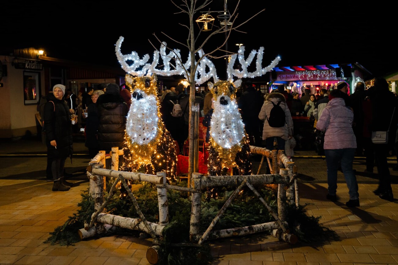 delnice bajka 2023 9 delnice bajka 2023 9