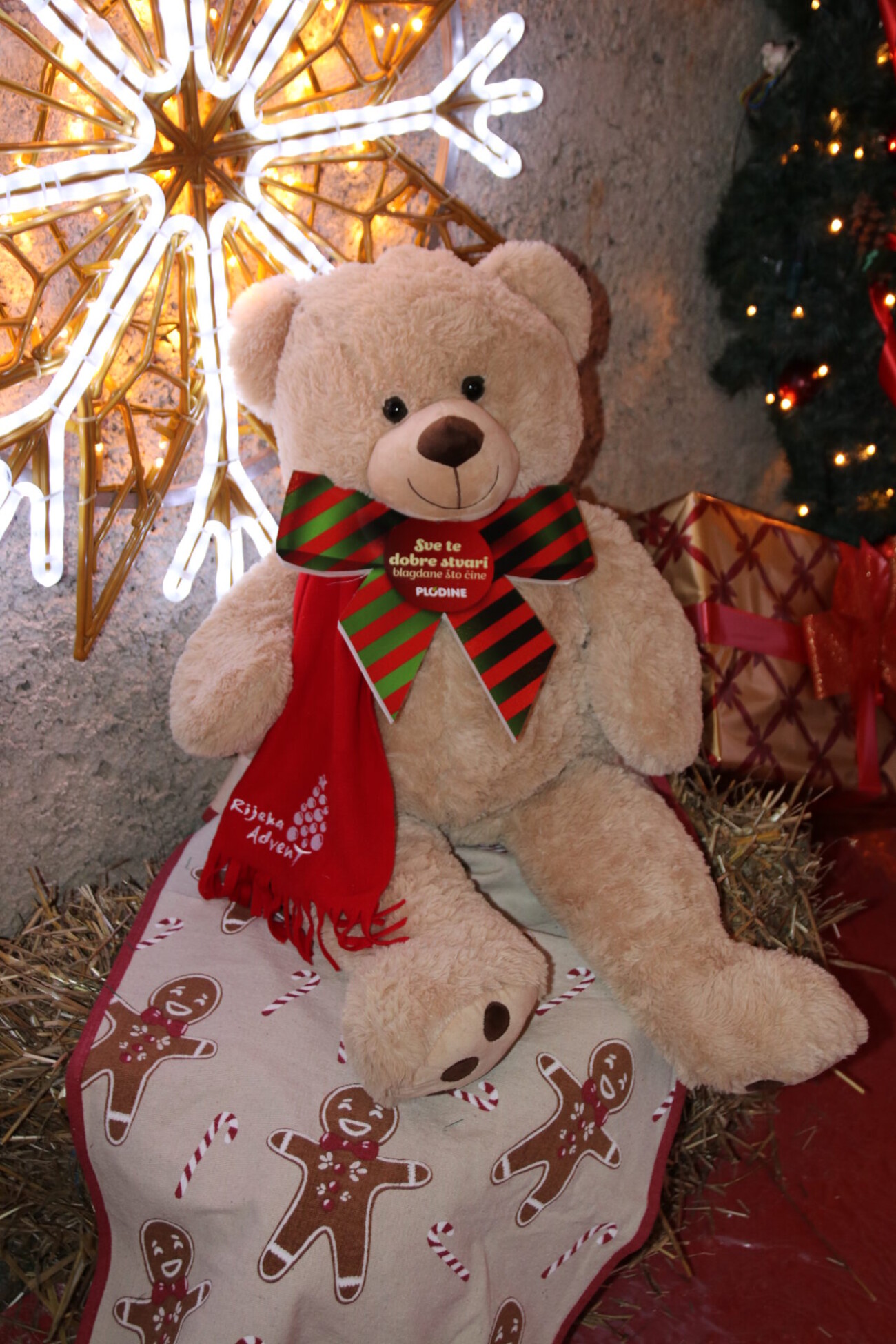 djed mraz 2023 tunel22 djed mraz 2023 tunel22