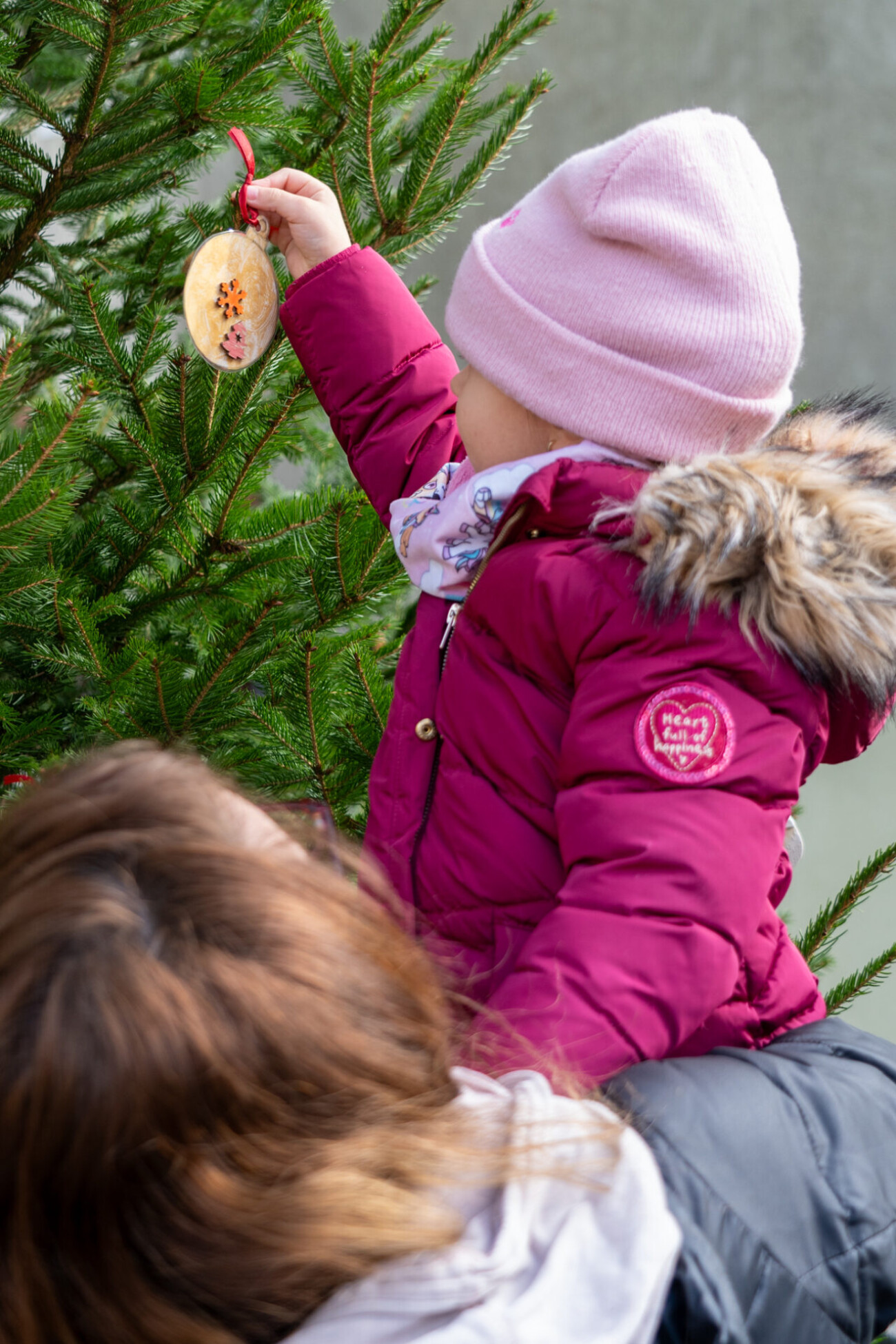 kastav ukrasavanje vrticari (15) kastav ukrasavanje vrticari (15)