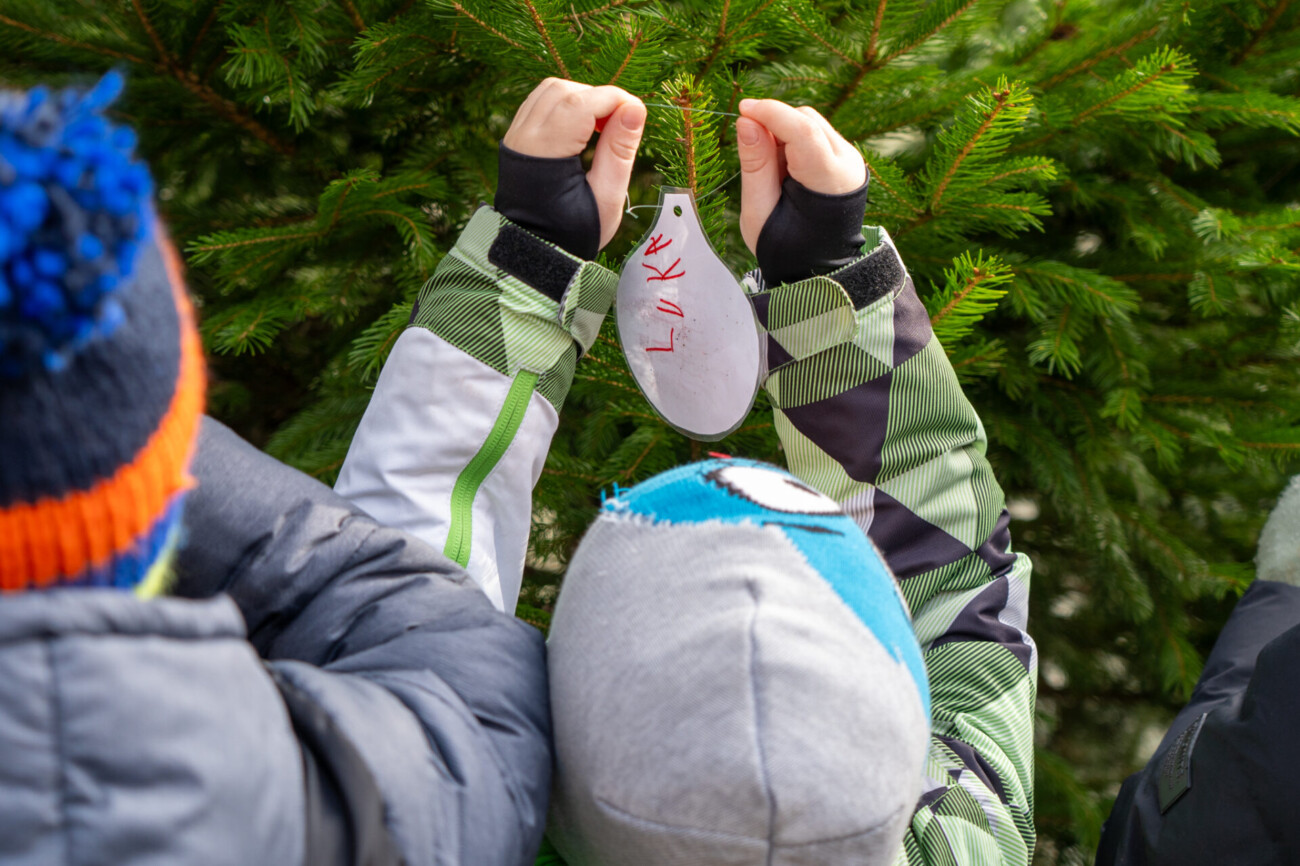 kastav ukrasavanje vrticari (23) kastav ukrasavanje vrticari (23)