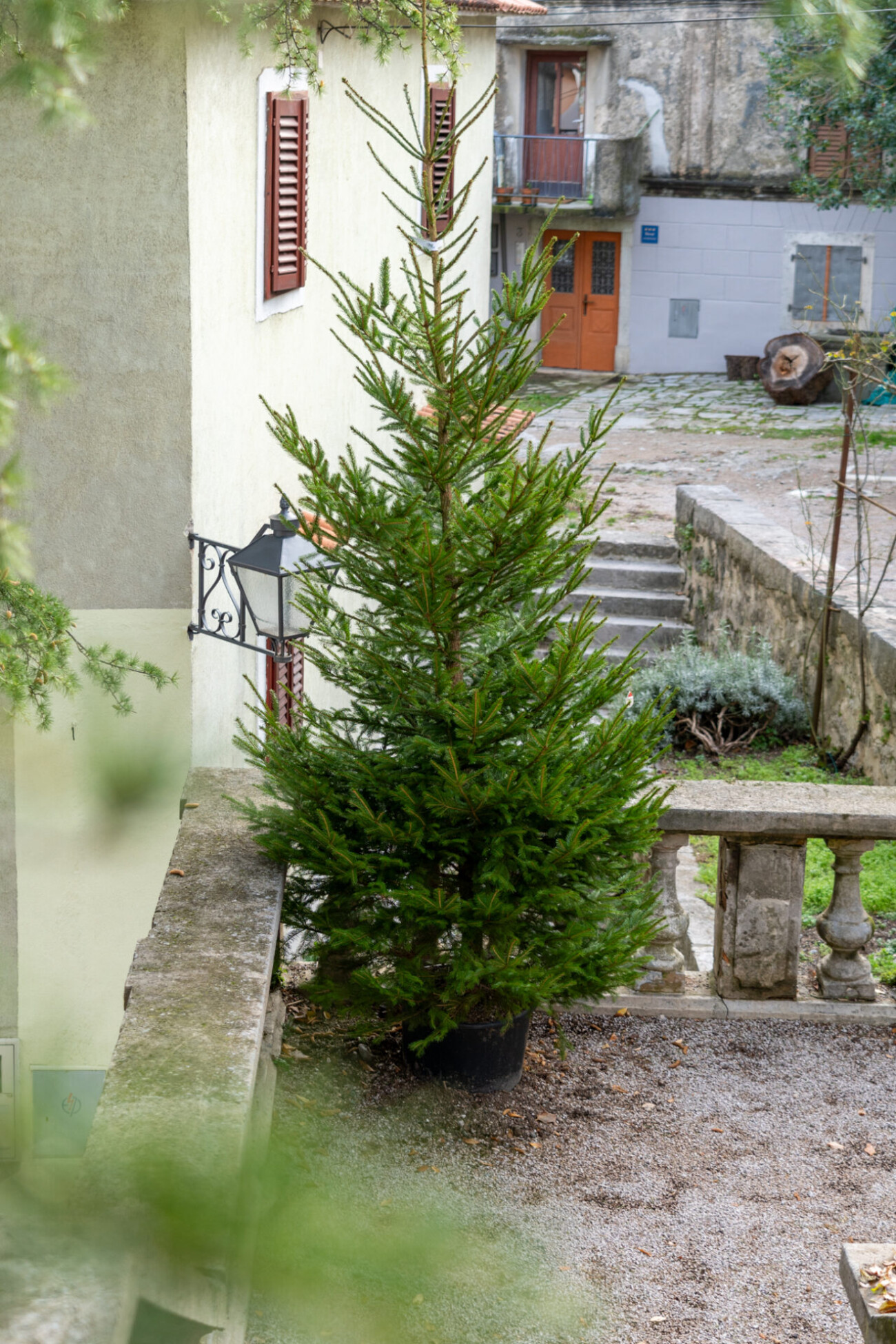 kastav ukrasavanje vrticari (27) kastav ukrasavanje vrticari (27)