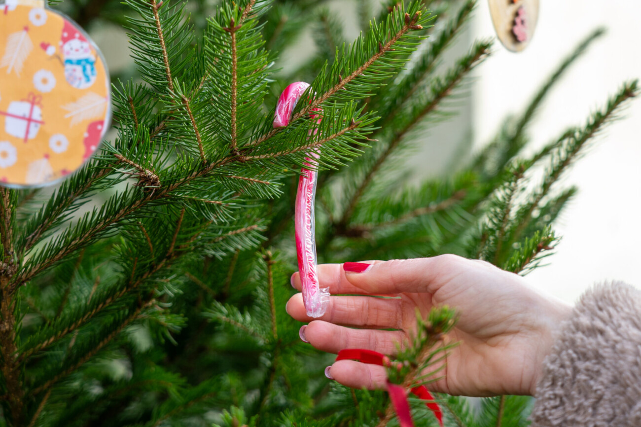 kastav ukrasavanje vrticari (7) kastav ukrasavanje vrticari (7)