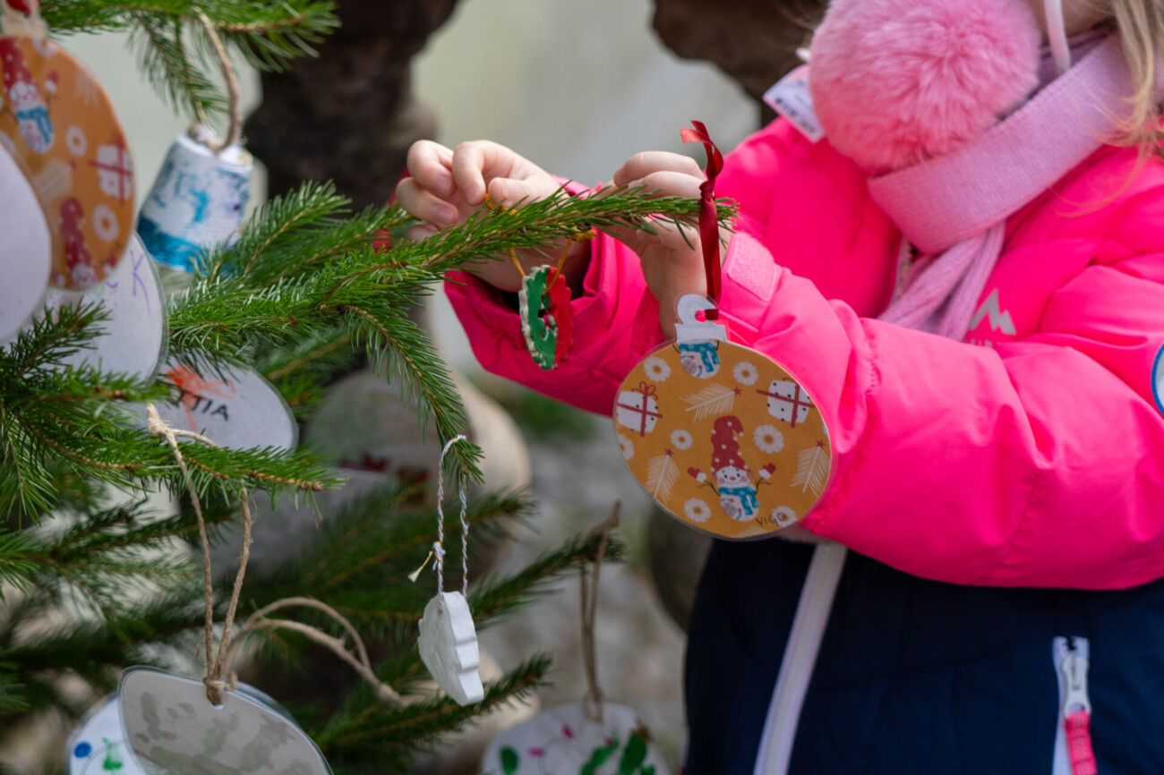 kastav ukrasavanje vrticari (8) kastav ukrasavanje vrticari (8)