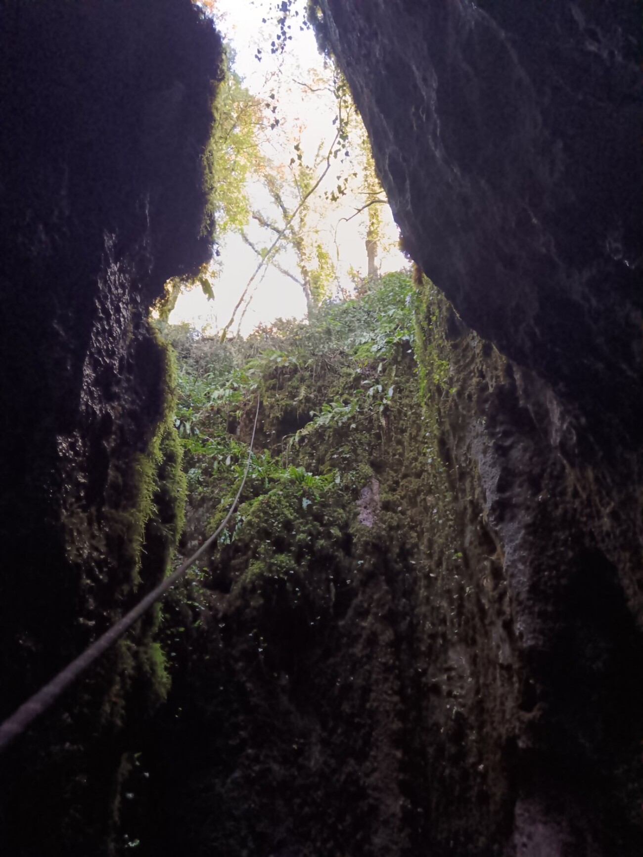 vatrogasci poreč pas (3)