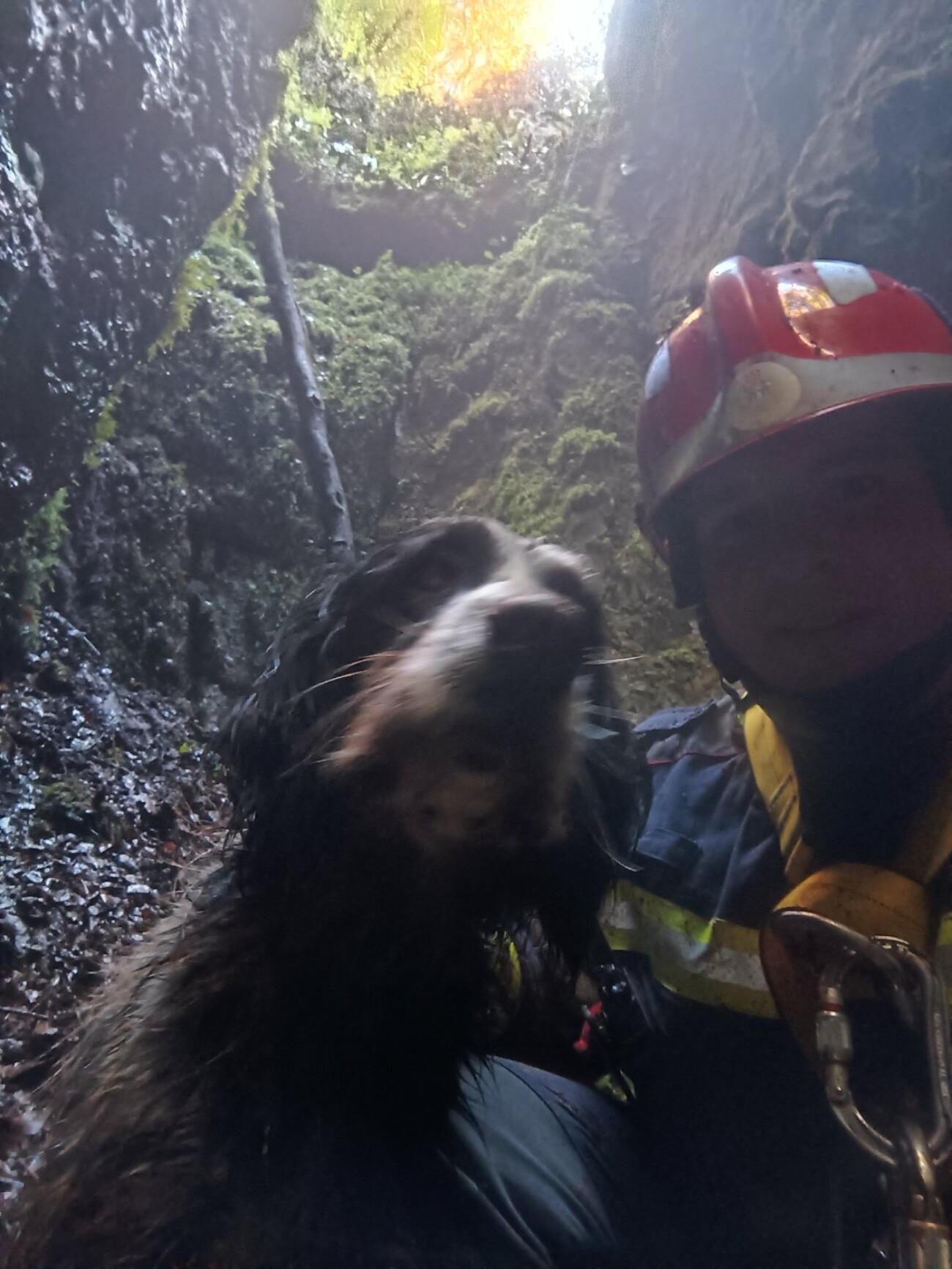 vatrogasci poreč pas (4)