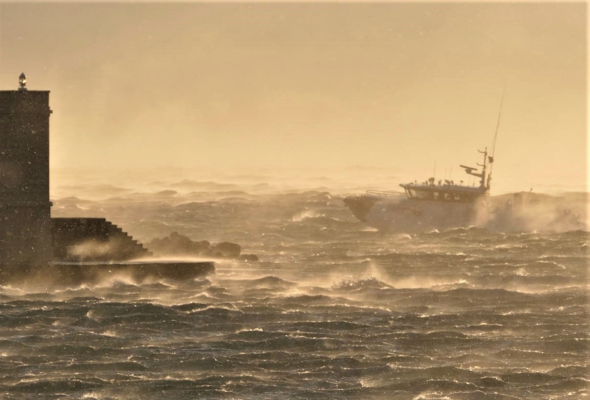 2 w LI RAB-MEDICO 8-1_24