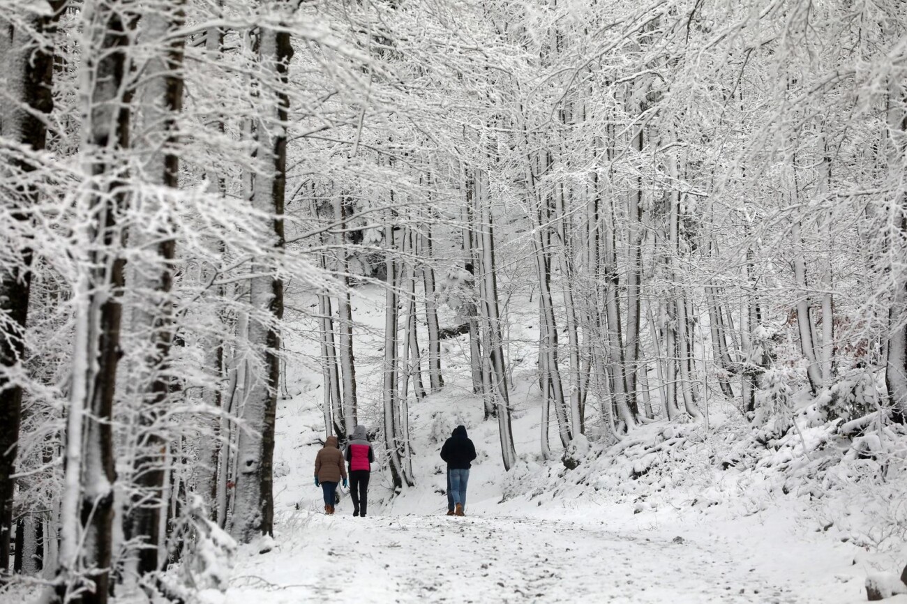 Na Platku pao snijeg Na Platku pao snijeg