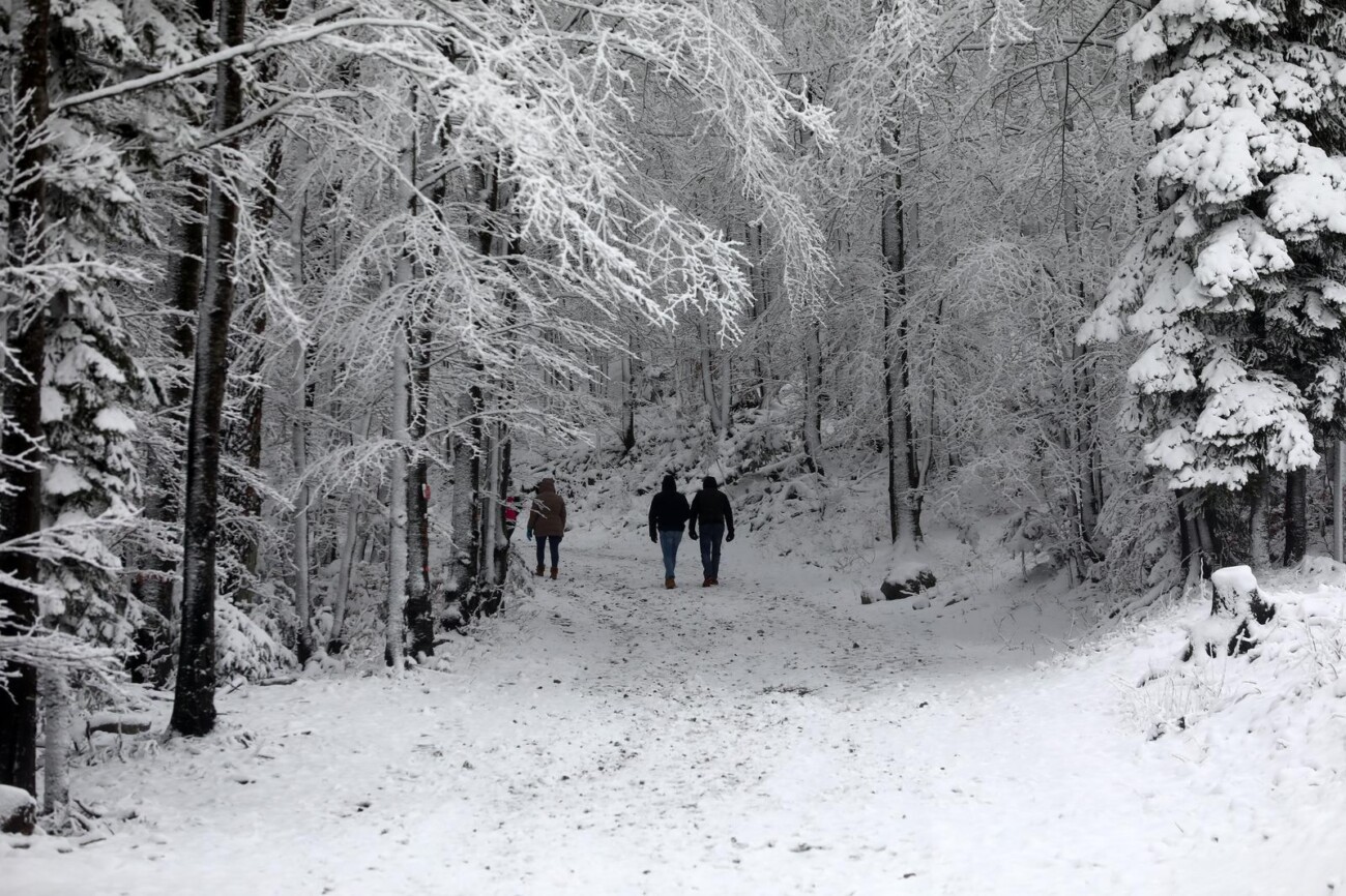 Na Platku pao snijeg Na Platku pao snijeg