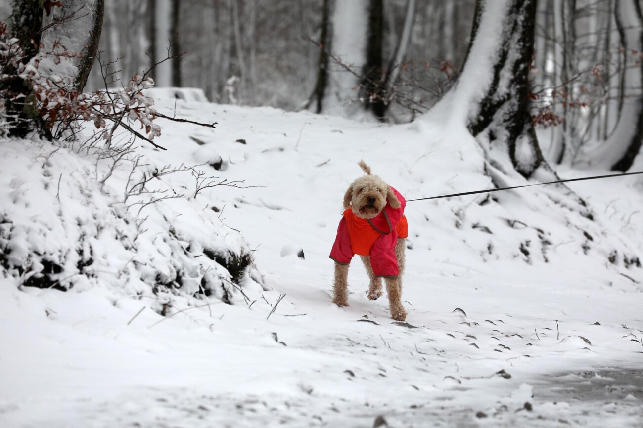 Na Platku pao snijeg Na Platku pao snijeg