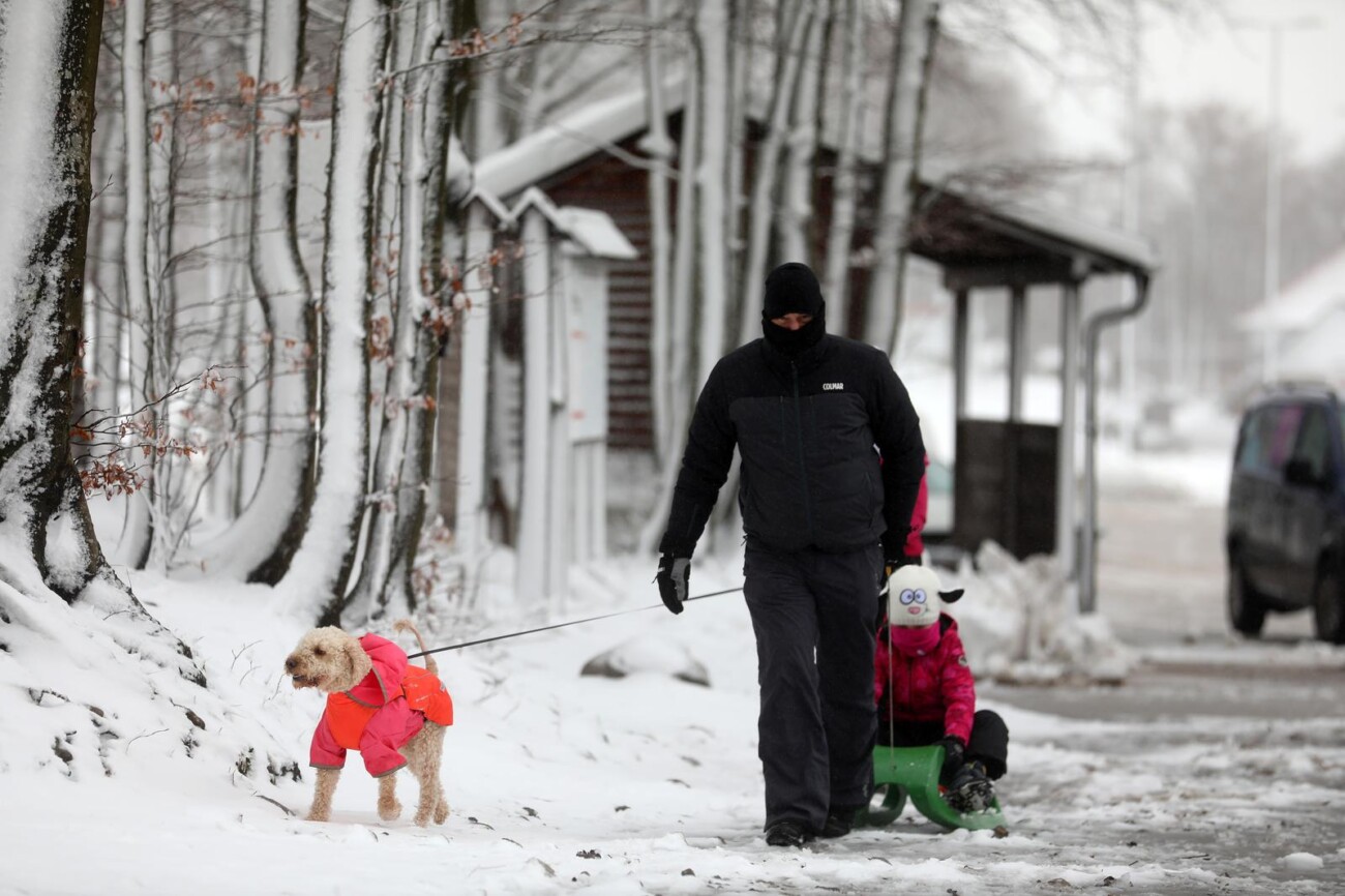 Na Platku pao snijeg Na Platku pao snijeg