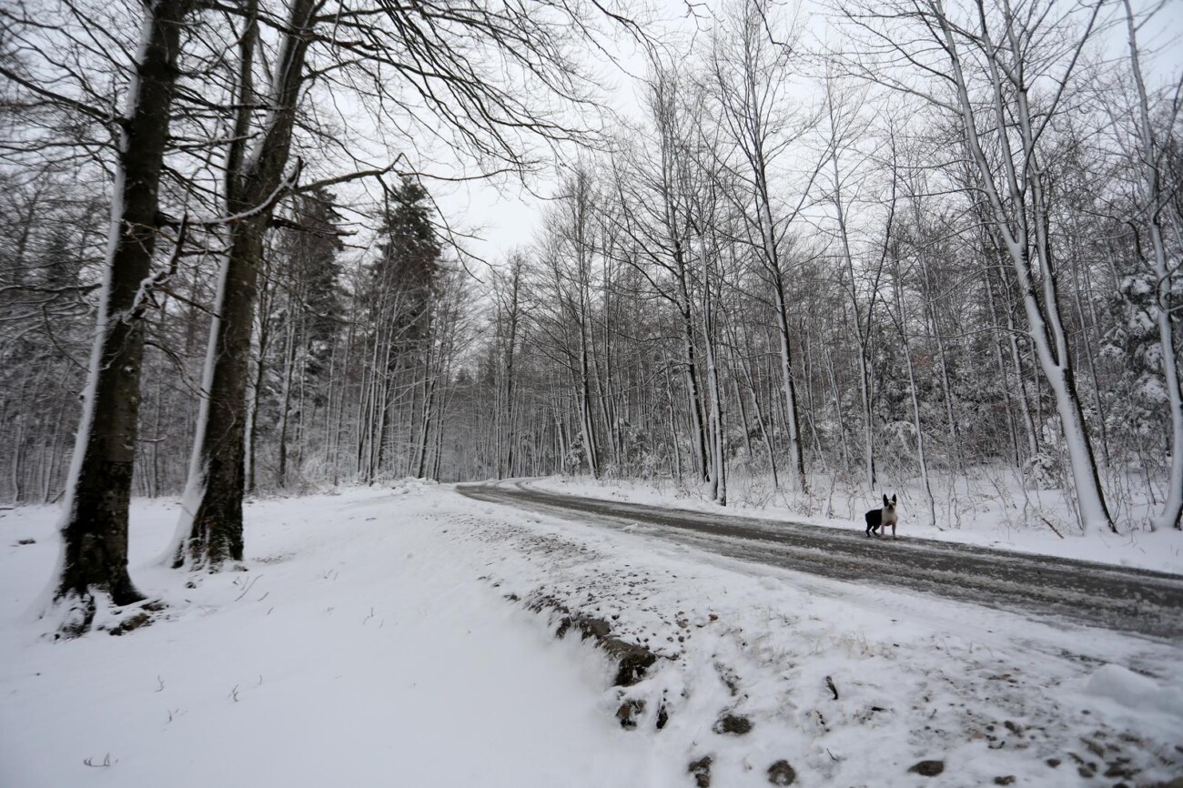 Na Platku pao snijeg Na Platku pao snijeg
