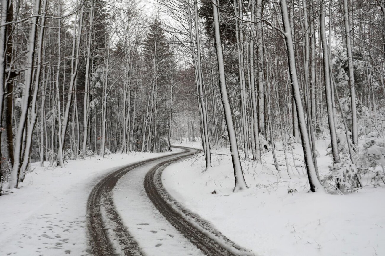 Na Platku pao snijeg Na Platku pao snijeg
