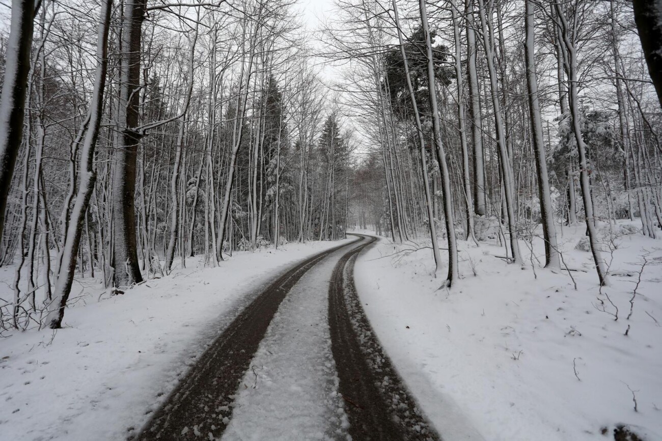 Na Platku pao snijeg Na Platku pao snijeg
