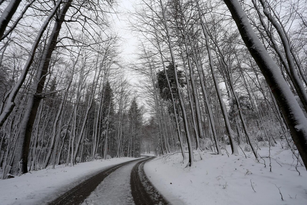 Na Platku pao snijeg Na Platku pao snijeg