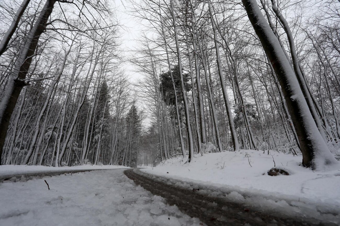 Na Platku pao snijeg Na Platku pao snijeg