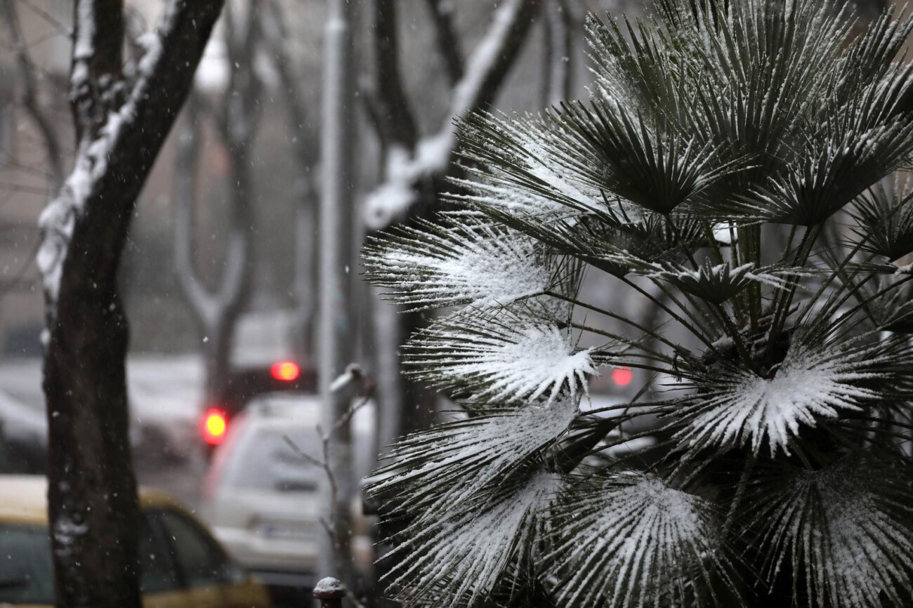 Rijeka: Gust snijeg pada širom grada Rijeka: Gust snijeg pada širom grada