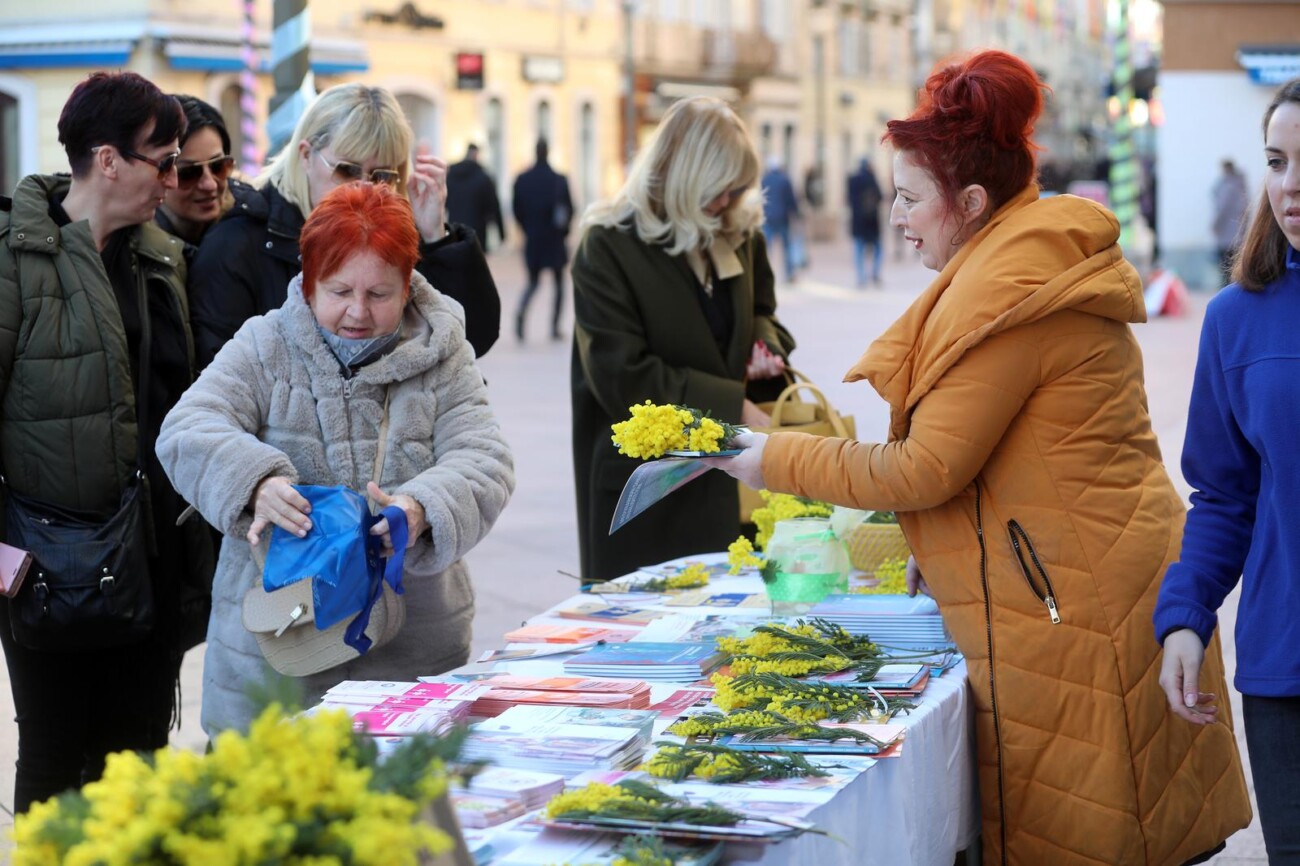 Rijeka: Dan mimoza, nacionalni dan borbe protiv raka vrata maternice