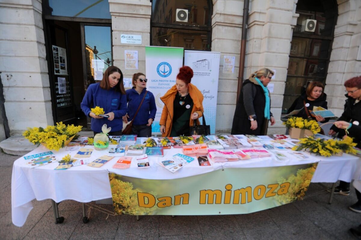 Rijeka: Dan mimoza, nacionalni dan borbe protiv raka vrata maternice