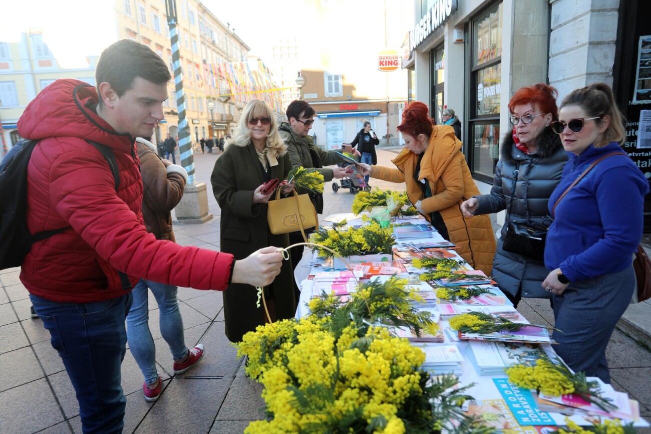 Rijeka: Dan mimoza, nacionalni dan borbe protiv raka vrata maternice
