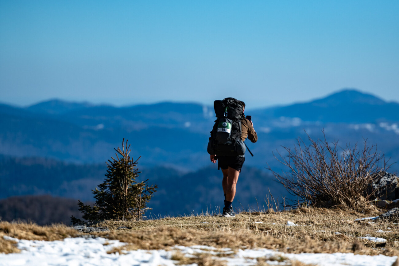 highlander (2) highlander (2)