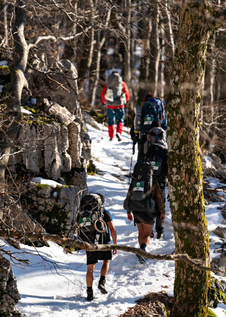 highlander (3) highlander (3)