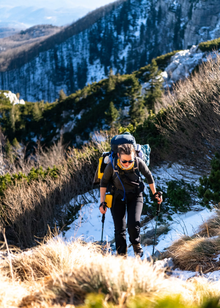 highlander (6) highlander (6)