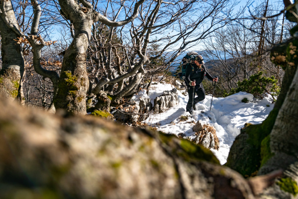 highlander (9) highlander (9)