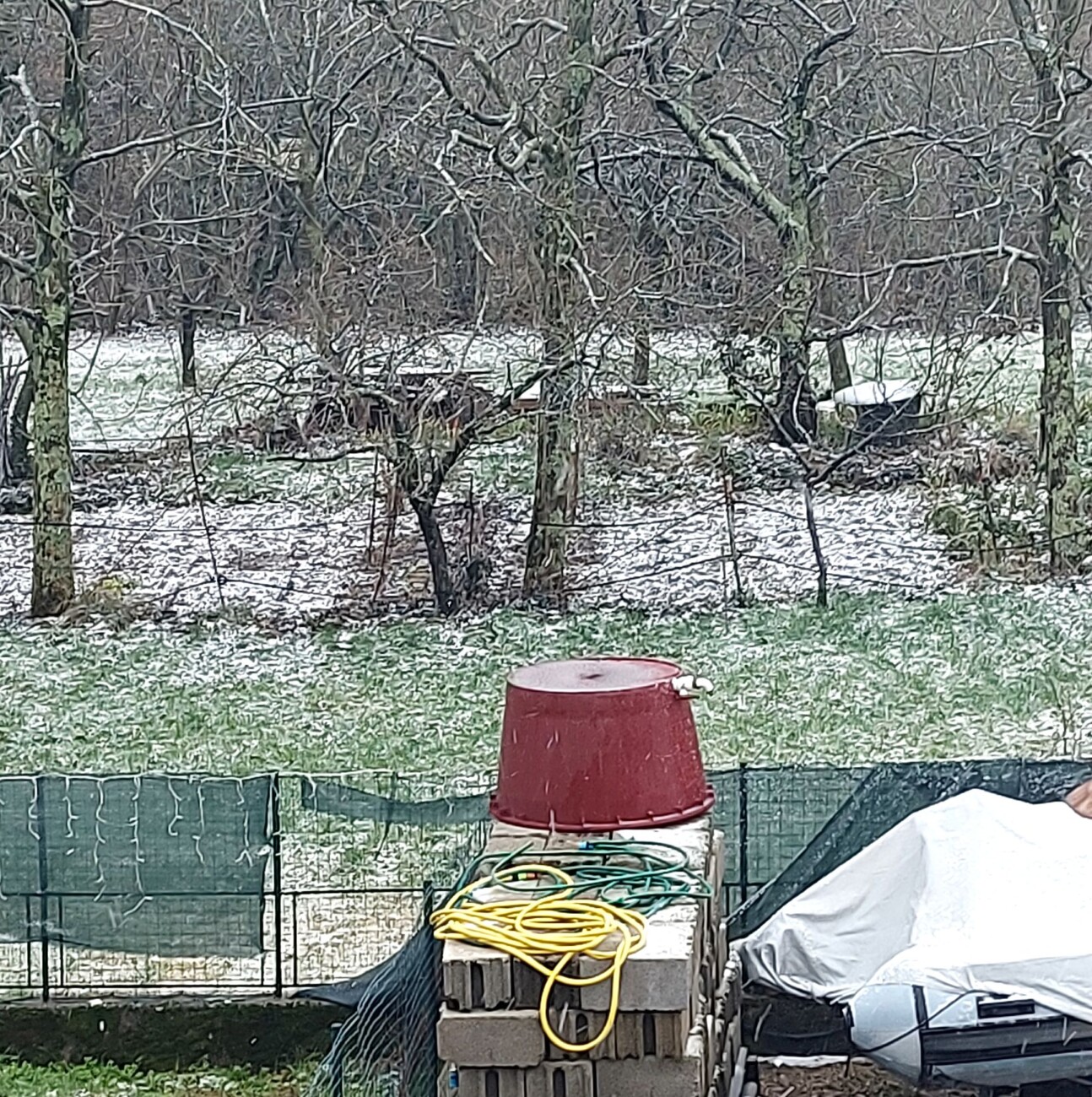 snijeg siječanj 2024. drenova g.s. vukman snijeg siječanj 2024. drenova g.s. vukman