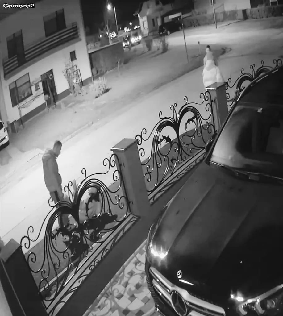 tučnjava brod 14 tučnjava brod 14