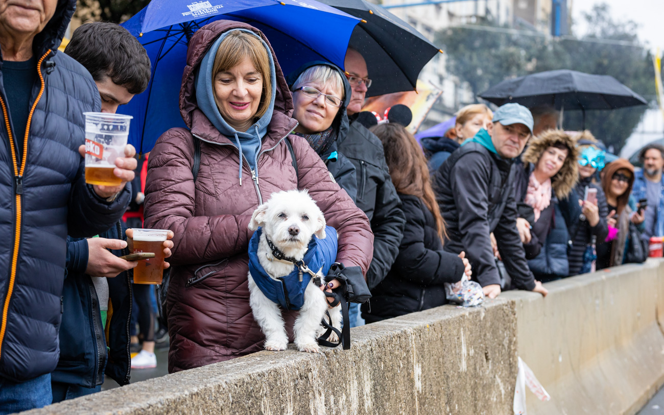 Karneval 2024-54 Karneval 2024-54