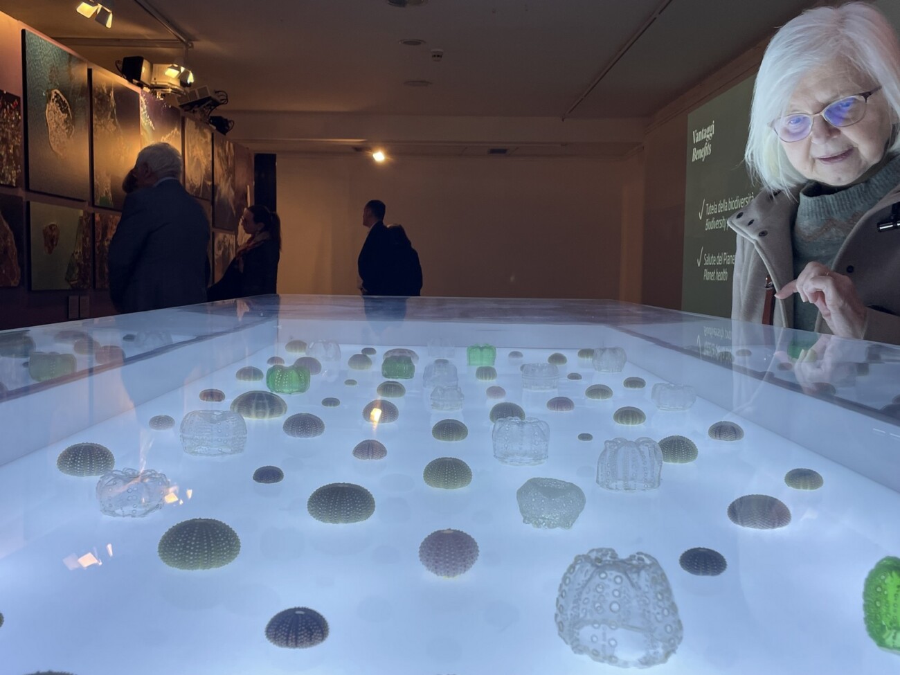 Otvorenje-izložbe-„Mediterranea-–-slojeviti-presijek-drevnog-Sredozemlja“-2