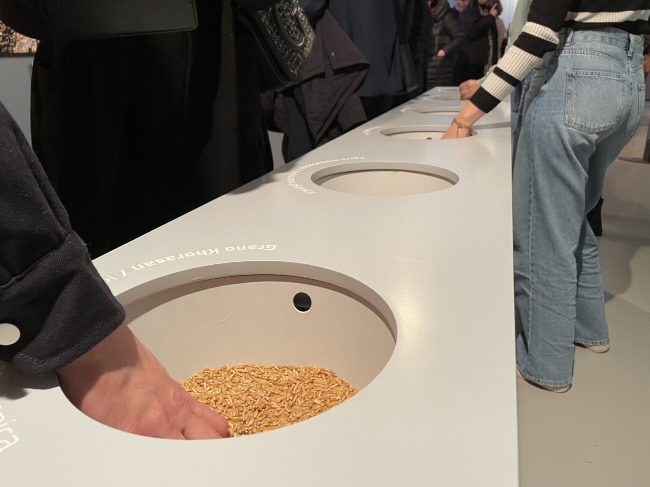 Otvorenje-izložbe-„Mediterranea-–-slojeviti-presijek-drevnog-Sredozemlja“-6