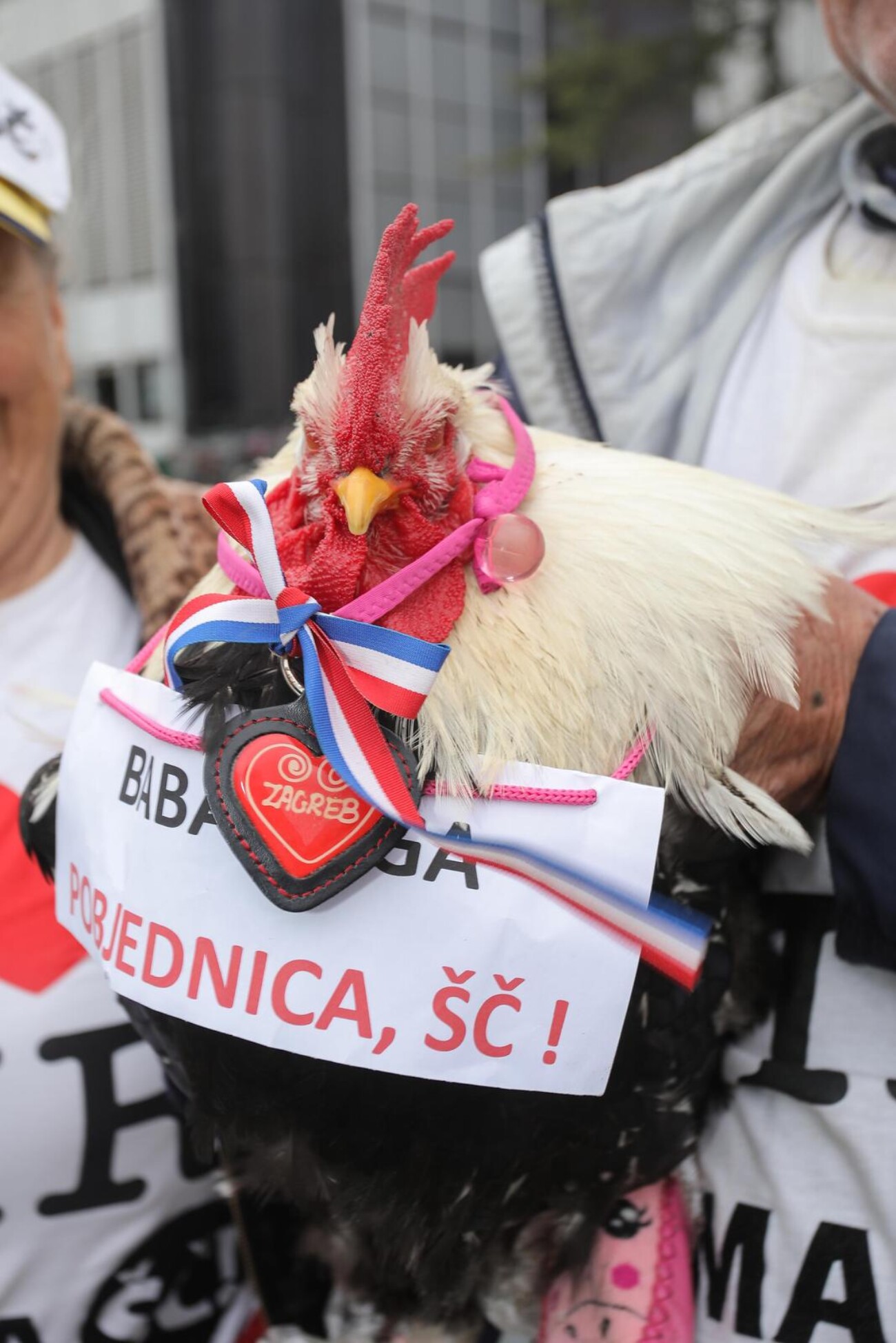 Zagreb: Marica i Mijat Barišić došli podržati Let 3 na Dori