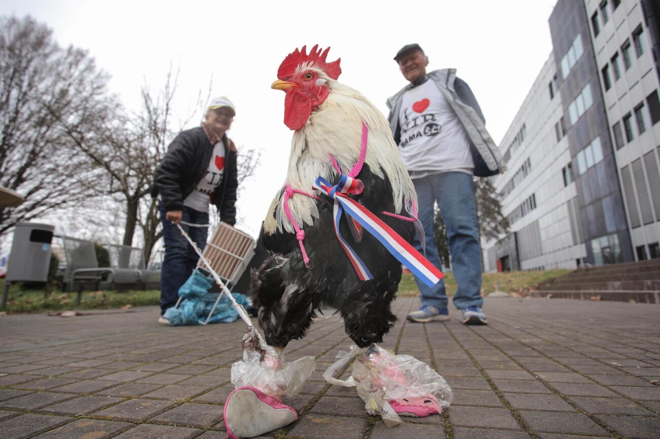 Zagreb: Marica i Mijat Barišić došli podržati Let 3 na Dori