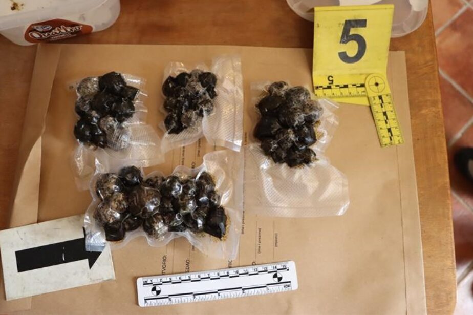 Snimka zaslona 2024-02-03 130803 Snimka zaslona 2024-02-03 130803