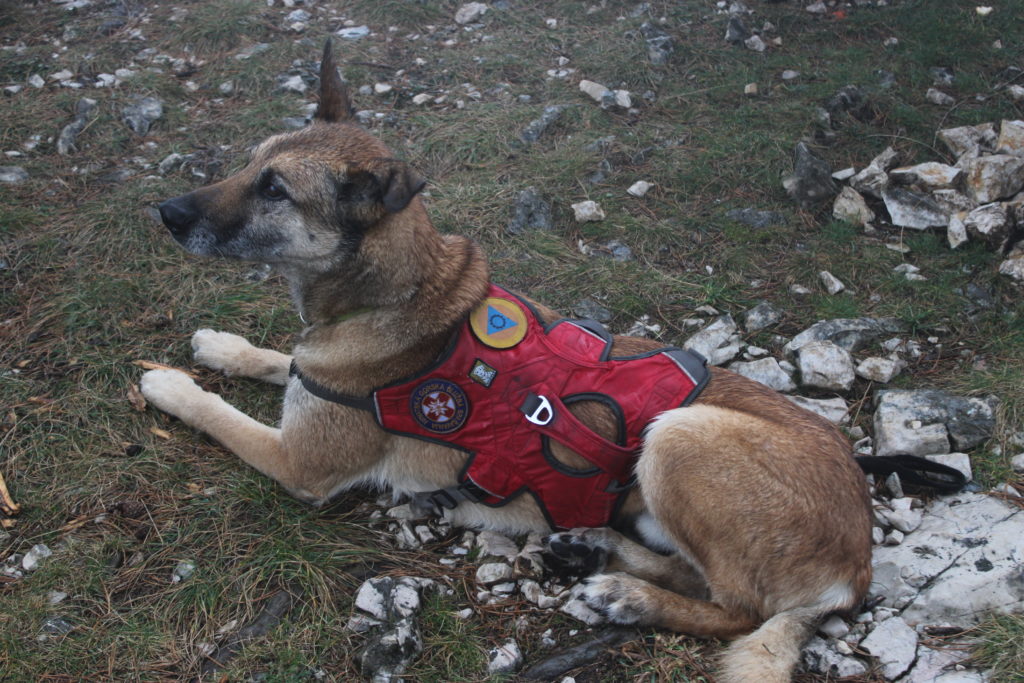 dan broja 112 civilna sluzba pgz (7) dan broja 112 civilna sluzba pgz (7)