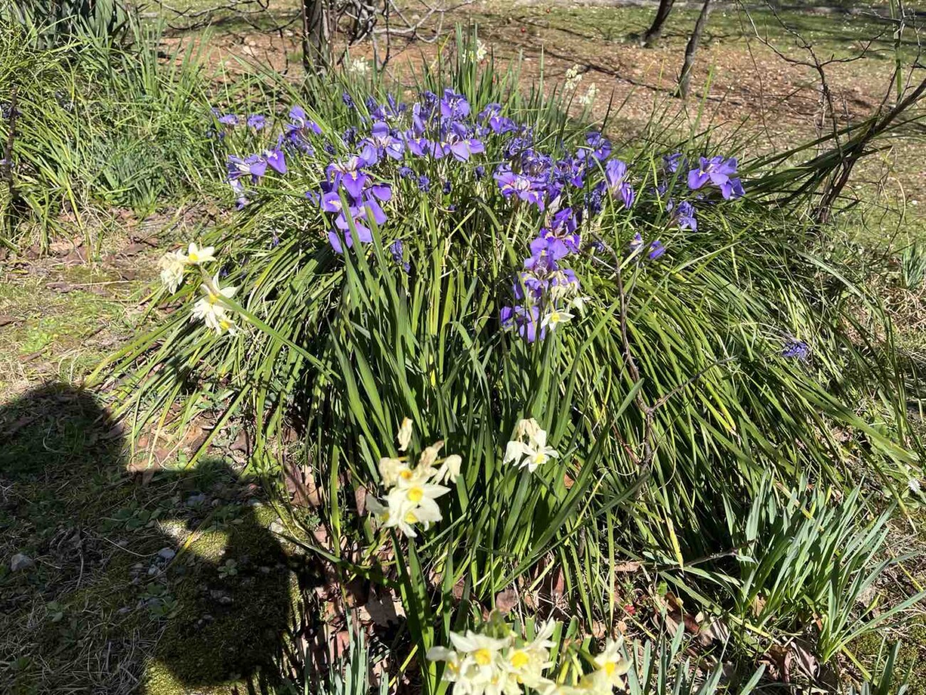 djecje igraliste tosina opatija (3) djecje igraliste tosina opatija (3)