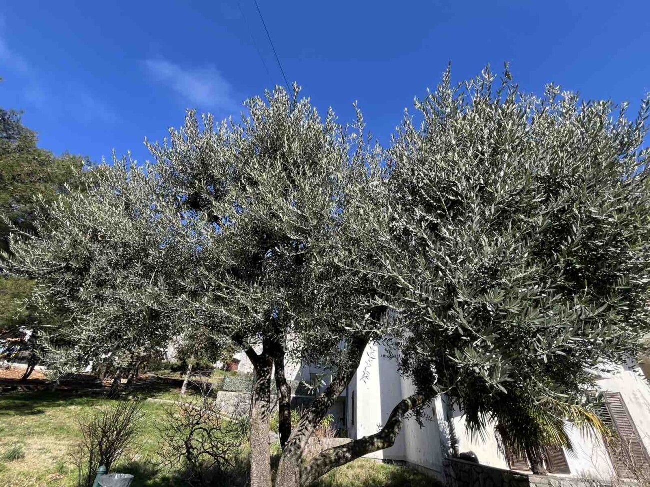 djecje igraliste tosina opatija (5) djecje igraliste tosina opatija (5)