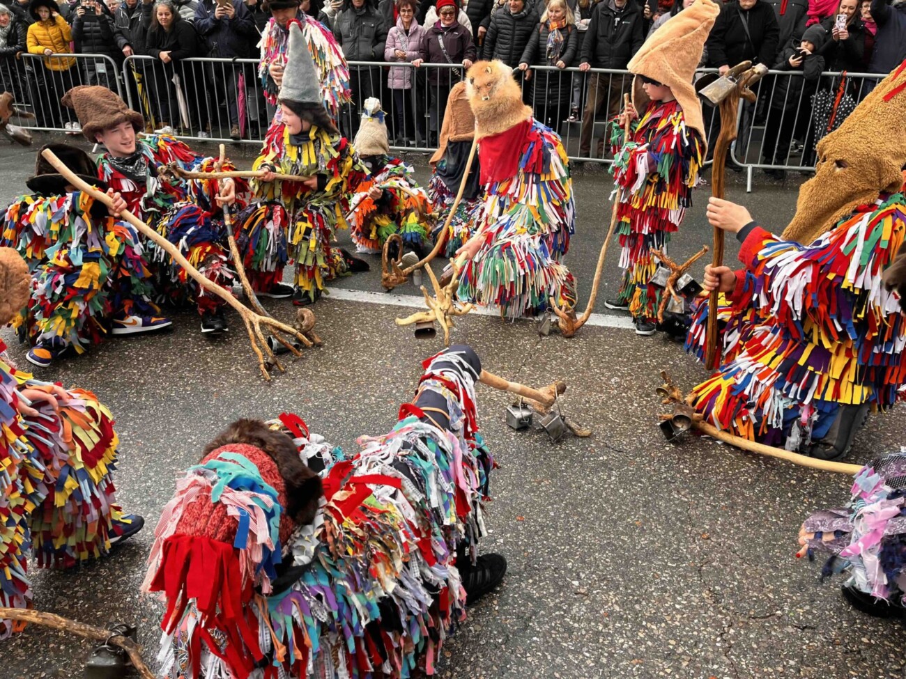 zvončarska smotra matulji 2024 12