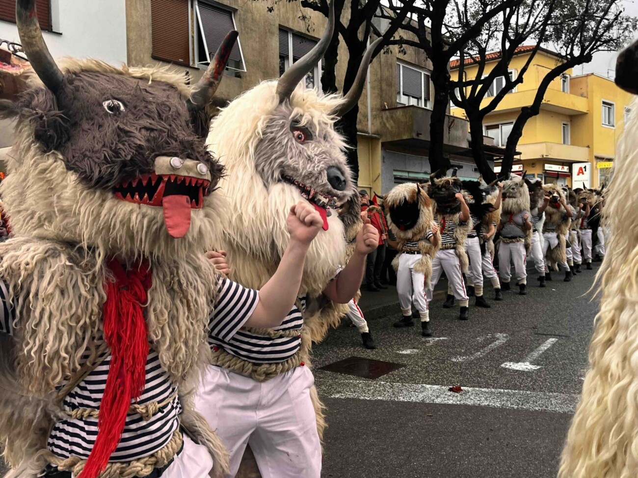 zvončarska smotra matulji 2024 15